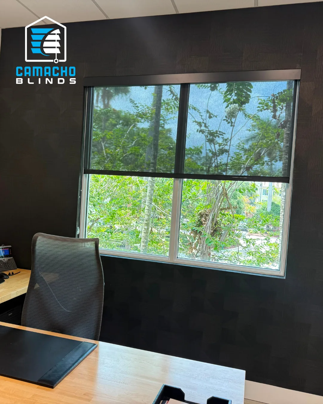 Roller Shades installation by Camacho Blinds, photo 5